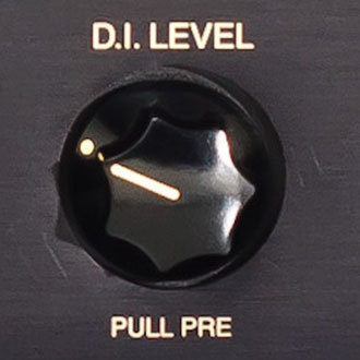 DI LEVEL and MASTER controls make adjusting your playing volume levels quick and easy on stage. 